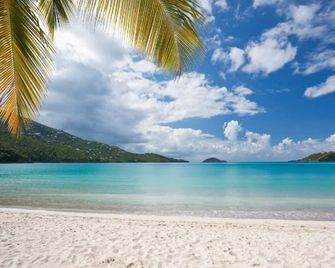 A Large, Modern Villa With Infinity Pool, Spa & Expansive Outdoor Living Space. - Saint Thomas Island - Beach