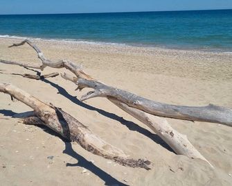 Appartamento Tra Oasi Naturalistica E Mare - San Benedetto del Tronto - Strand