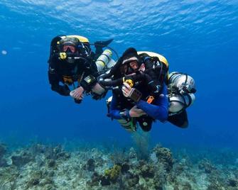 t Laege Uus - Burgh-Haamstede