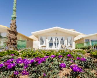 Pk 25 - Dakhla - Building