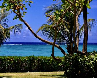 Cap Ouest by Dream Escapes - Flic en Flac - Beach