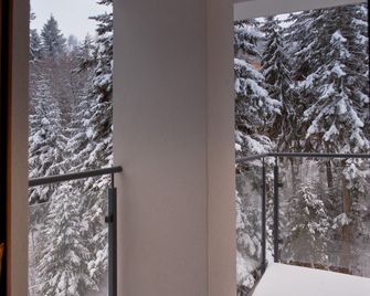 Apartamenty Sun & Snow Zielona - Криниця-Здруй - Балкон