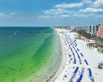 445 Clearwater Hamden - Clearwater Beach - Beach
