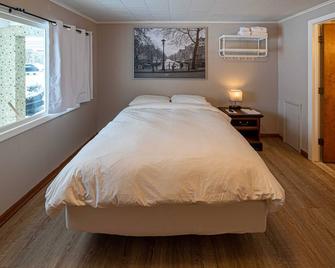 Star Gate Room 6 Indian River, MI - Indian River - Bedroom