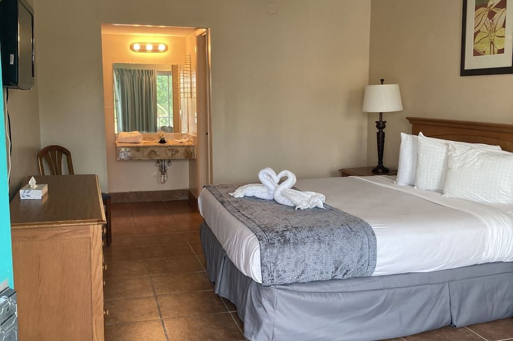 Altamonte Springs Hotel and Suites - Altamonte Springs - Bedroom