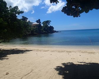 upscale 1 bedroom apartment in private beach community - Negril - Playa