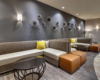 Drury Plaza Hotel Cape Girardeau Conference Center - Cape Girardeau - Lounge