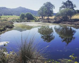 Langel Creek Ranch Guest House - Eagle Point - Outdoors view