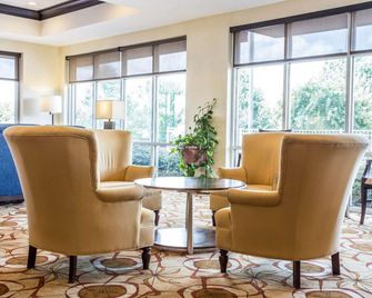 Comfort Suites Rock Hill Manchester Meadows Area - Rock Hill - Resepsjon