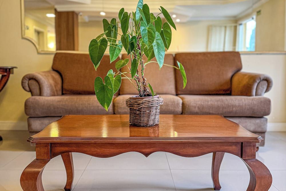 Pousada Serra Valle - גרמאדו - סלון