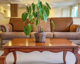 Pousada Serra Valle - גרמאדו - סלון