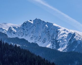 Willa u Anusia Jacuzzi & Sauna - Zakopane - Outdoors view