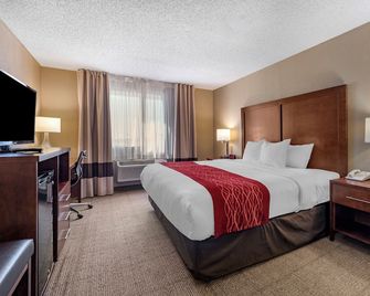 Comfort Inn and Suites Hays I-70 - Hays - Bedroom
