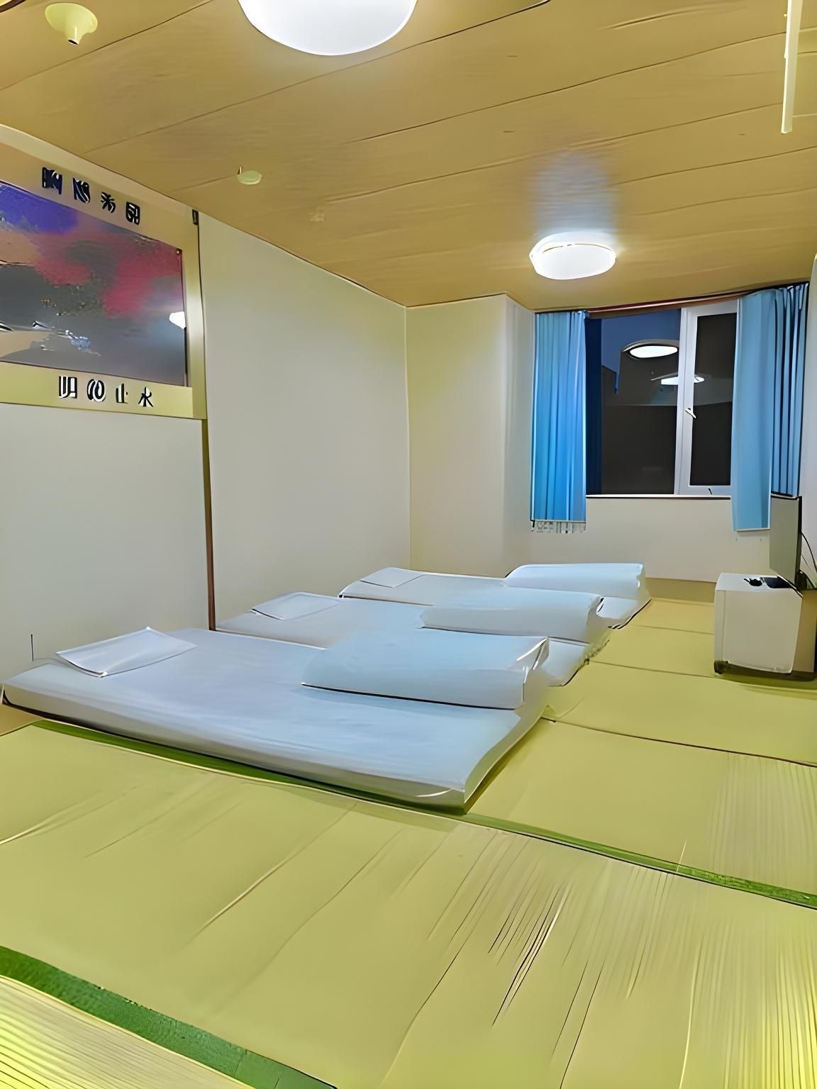 هوتل هوشي كاي كان