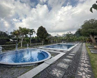 Arlina's Hotel Kintamani - Kintamani - Piscine