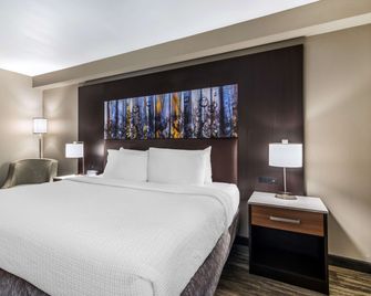 Best Western Atlanta-Marietta Ballpark Hotel - Marietta - Makuuhuone