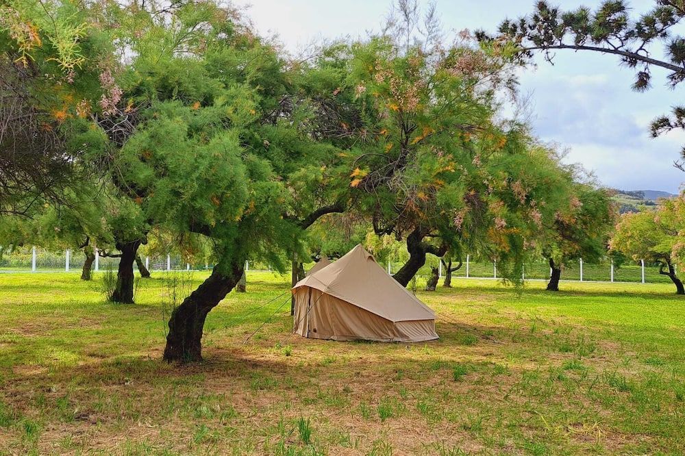 Bearsu Nature Almoxarife - הורטה