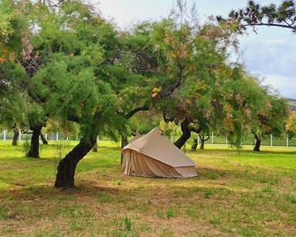 Bearsu Nature Almoxarife - הורטה
