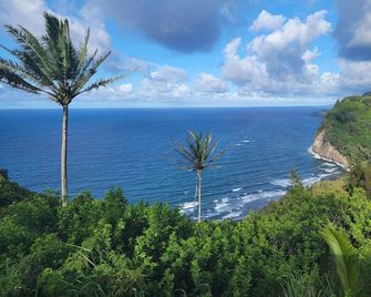 Kohala Village Inn - Hawi - Atracciones