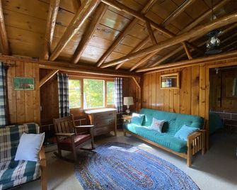 Cozy rustic cabin perched above Ocqueoc Lake - Millersburg - Living room
