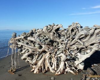 Greenhouse Inn by the Bay - Sequim