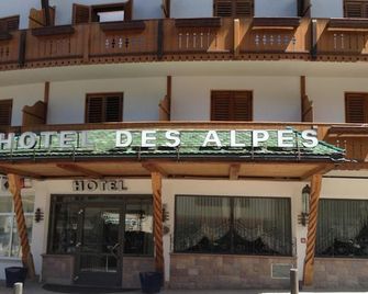 Hotel Des Alpes - 塞爾瓦迪加爾代納山谷 - 建築