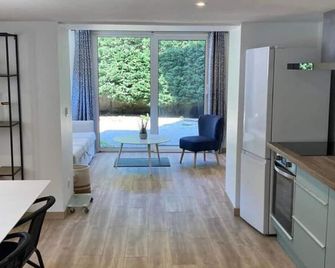 Appartement T2 rez de chaussée villa Les Tamaris Aix-les-Bains - Aix-les-Bains - Kitchen