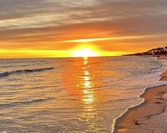 Turtles Nest, East - Dauphin Island - Beach
