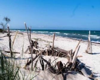 Amber FW, 60sqm, with colored clay plaster - Prerow - Strand