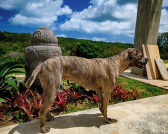 Club Vieques - Adults Only Resort - Lgbt Friendly - Vieques