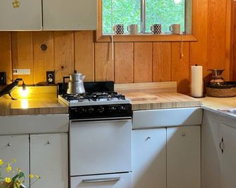 Vintage Tata River Cabin: Arkansas River Cabin - Salida - Kitchen