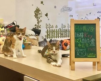 Cat Mia Hostel - Hualien City