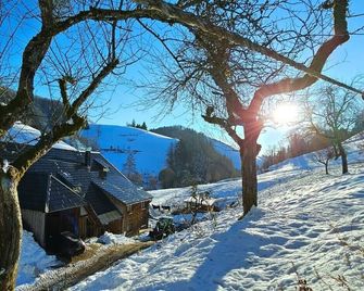 Ferienwohnung am Belchen - Wieden - Außenansicht