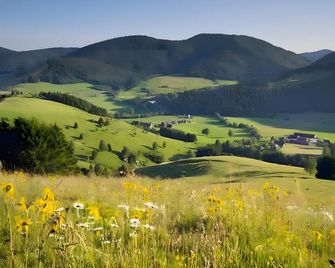 Haus Rosenfelder Fewo Abendsonne - Bernau im Schwarzwald - Vista esterna