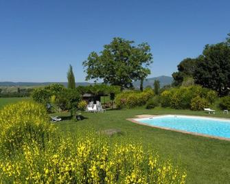 Il Gallo Nero in Agriturismo Borgo Santa Maria - Monteleone Orvieto - Piscina