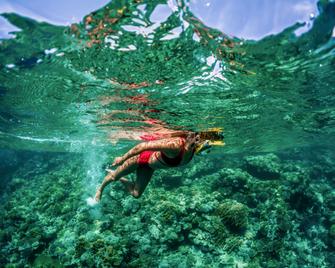 منتجع ريكسوس شرم الشيخ - شرم الشيخ - مبنى