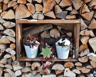 Landhaus Gastein - Dorfgastein