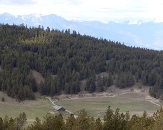 Pet-Friendly Cabin for Rent with Stunning Local Wildlife in the Okanogan Highlands - Oroville - Vista del exterior