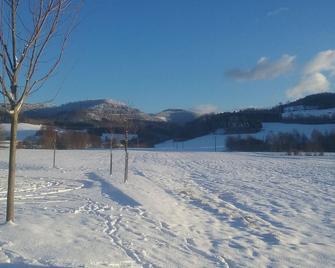 Bed and breakfast - Ban-de-Laveline - Servicio de la propiedad