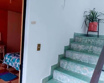 Hummingbird House - Tehuacán - Stairs