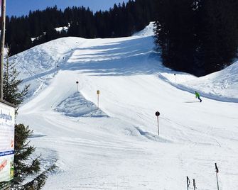 Clubhotel Complex Amelia's Corner Hinterthal Self Catering Luxurious Apartment - Maria Alm am Steinernen Meer - Property amenity