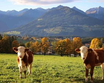 Pension Stoffenbauer - Ramsau am Dachstein