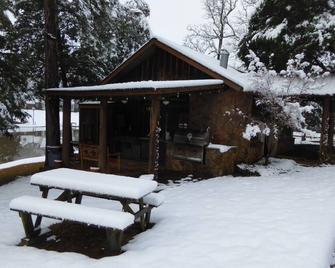The Nest - Garage/Studio - Palestine - Patio