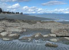 Beach front Duplex on Stories beach near Campbell River - Campbell River