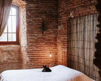 Chateau in the Lauragais hills - Mazères - Habitación
