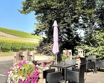 Modern and lovingly furnished vacation apartment at the foot of the vineyards - Marktbreit - Patio