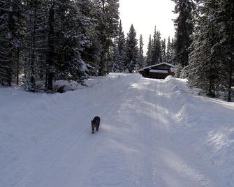 Cozy Cabin In Nimpo Lake on Dean River - Nimpo Lake - Property amenity