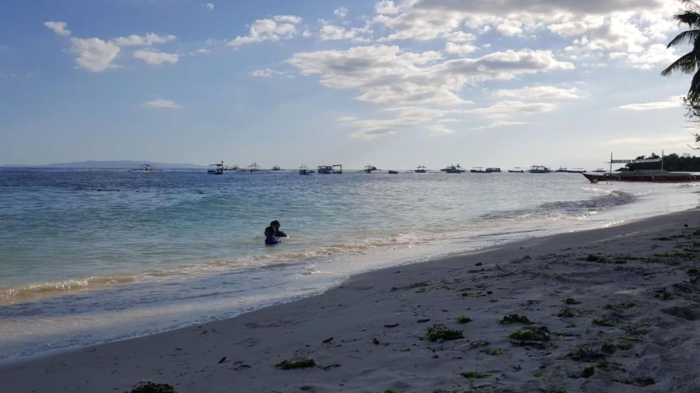 시타델 알로나 인