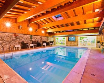 Hôtel Les Triolets - Châtel - Piscine