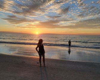 Spectacular sunsets await! - Indian Rocks Beach - Beach